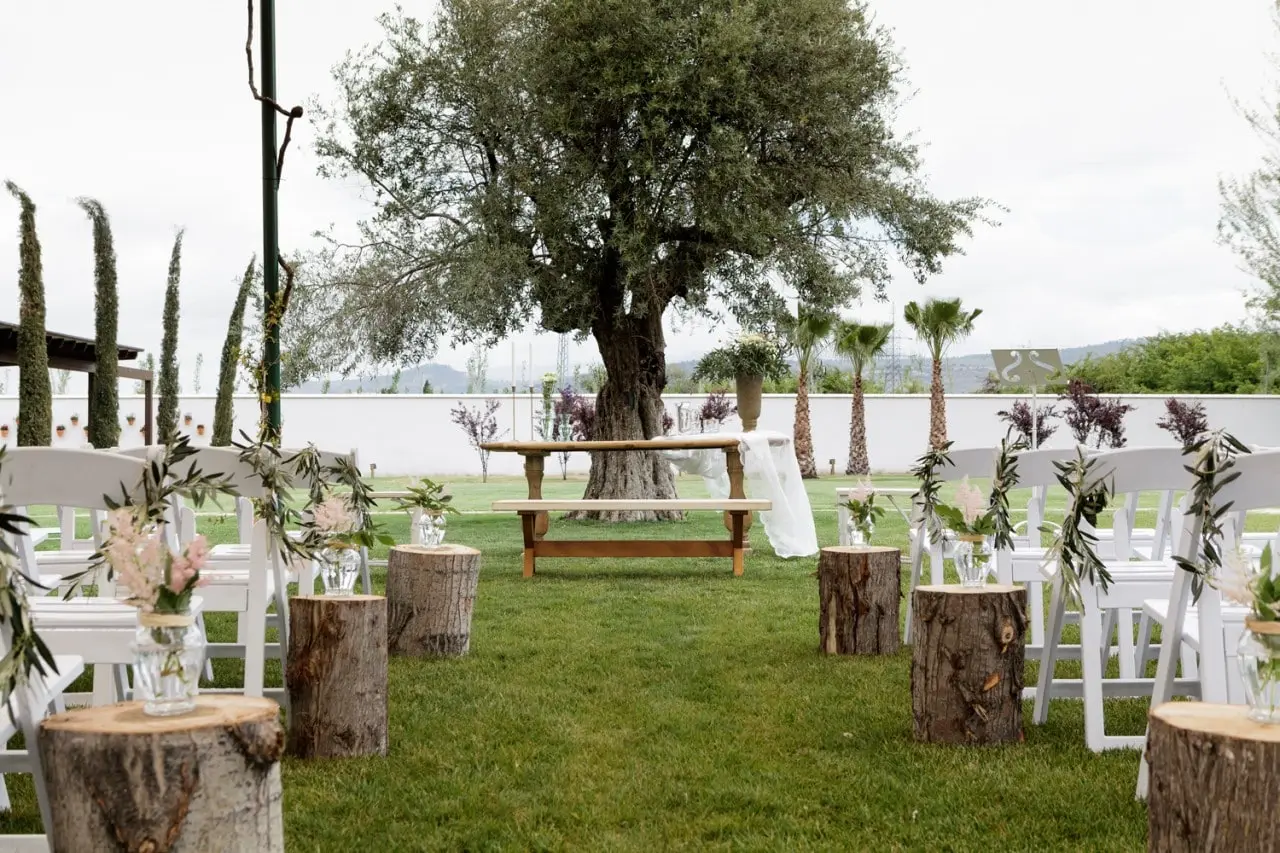 Sillas de ceremonia y troncos con flores bajo un olivo, en el jardín