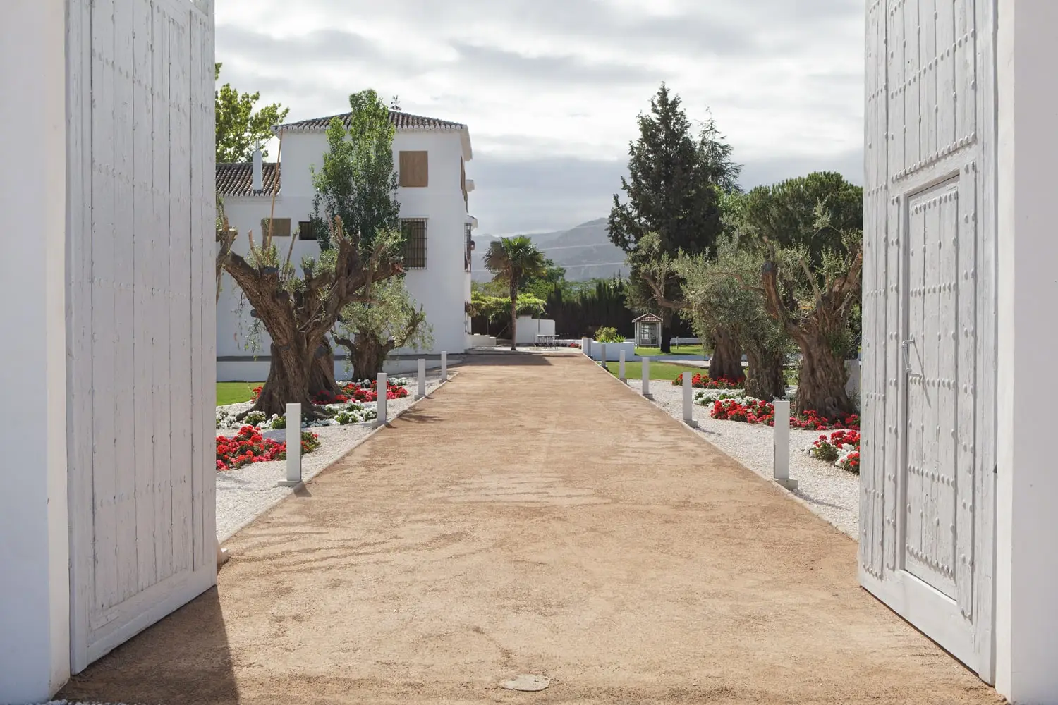 Tras el portón blanco, un camino de albero entre olivos centenarios lleva a la casa