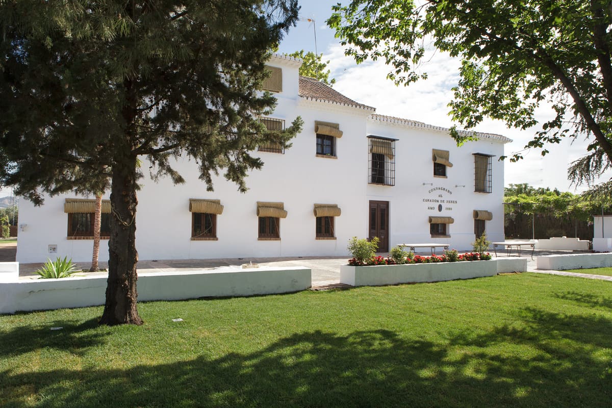La casa del Cortijo de Enmedio, encalada y con persianas de esparto, vista a través del césped entre un pino y un árbol de sombra